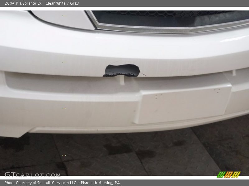Clear White / Gray 2004 Kia Sorento LX