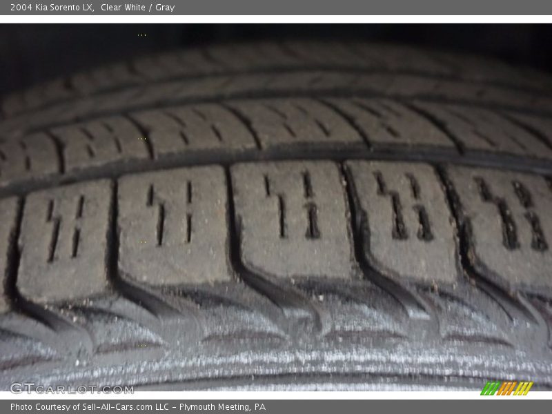 Clear White / Gray 2004 Kia Sorento LX