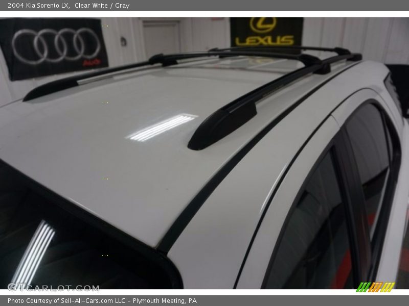 Clear White / Gray 2004 Kia Sorento LX