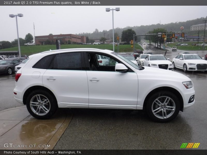 Ibis White / Black 2017 Audi Q5 2.0 TFSI Premium Plus quattro