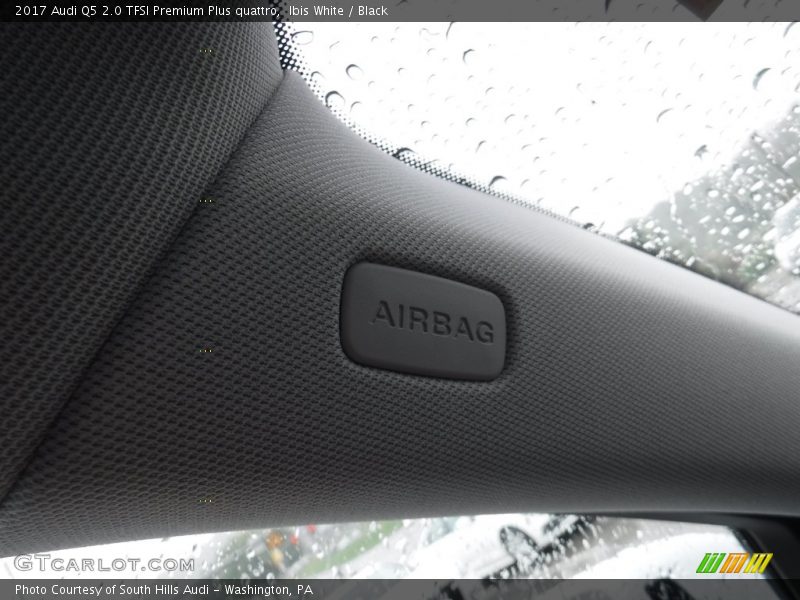 Ibis White / Black 2017 Audi Q5 2.0 TFSI Premium Plus quattro