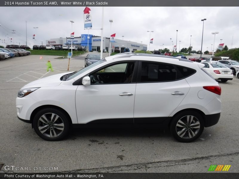 Winter White / Black Saddle 2014 Hyundai Tucson SE AWD