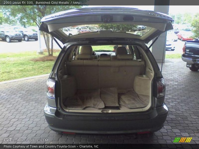 Burnished Gold Metallic / Ivory 2003 Lexus RX 300