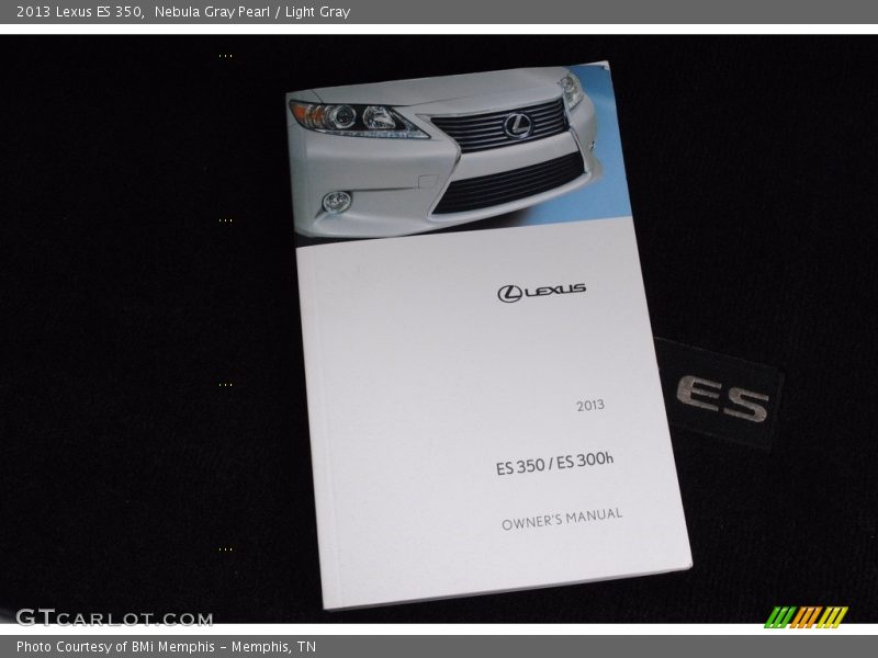Nebula Gray Pearl / Light Gray 2013 Lexus ES 350