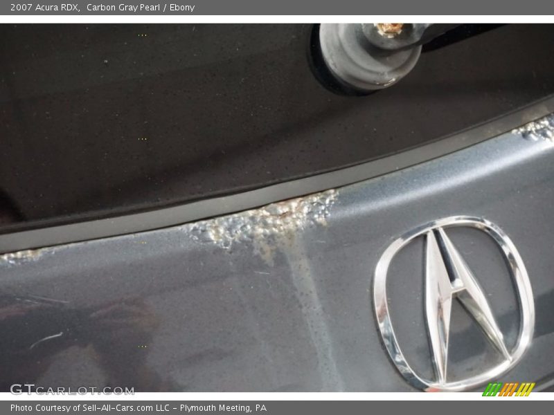 Carbon Gray Pearl / Ebony 2007 Acura RDX
