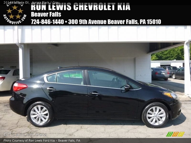 Aurora Black / Gray 2014 Kia Forte EX