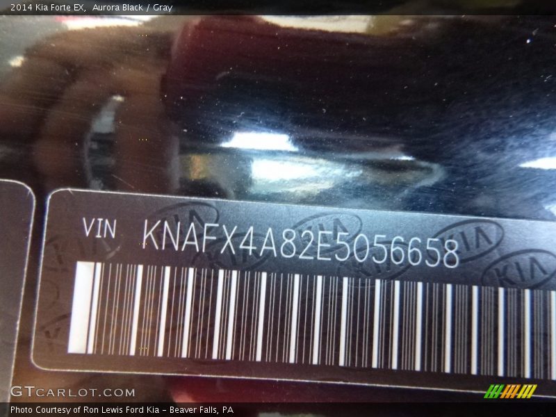 Aurora Black / Gray 2014 Kia Forte EX