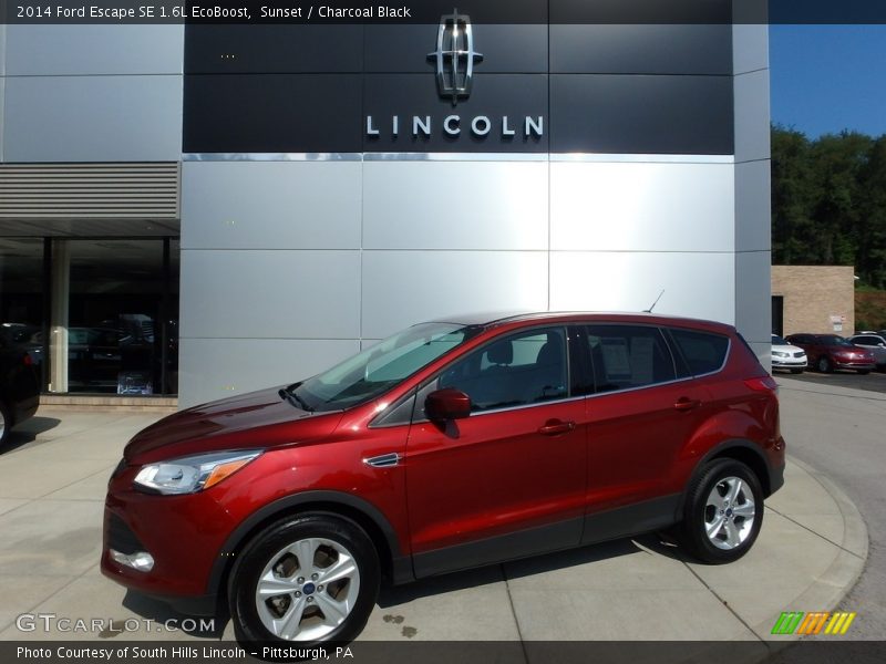 Sunset / Charcoal Black 2014 Ford Escape SE 1.6L EcoBoost