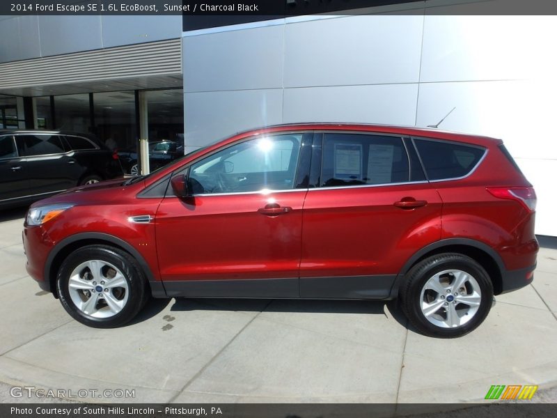 Sunset / Charcoal Black 2014 Ford Escape SE 1.6L EcoBoost