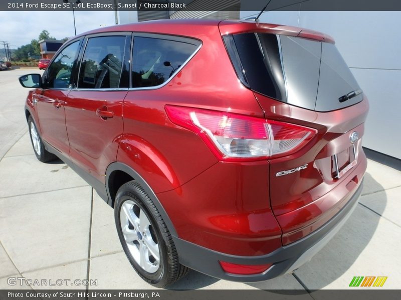 Sunset / Charcoal Black 2014 Ford Escape SE 1.6L EcoBoost