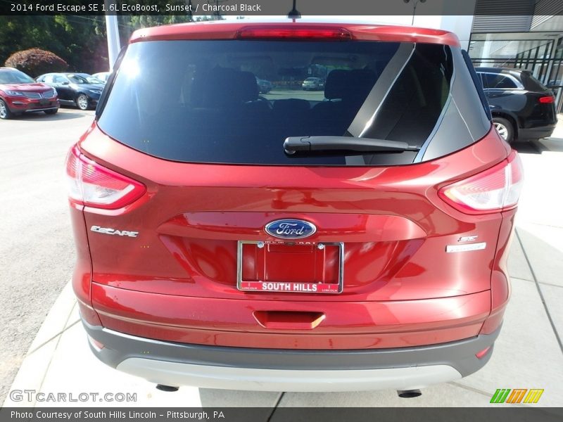 Sunset / Charcoal Black 2014 Ford Escape SE 1.6L EcoBoost