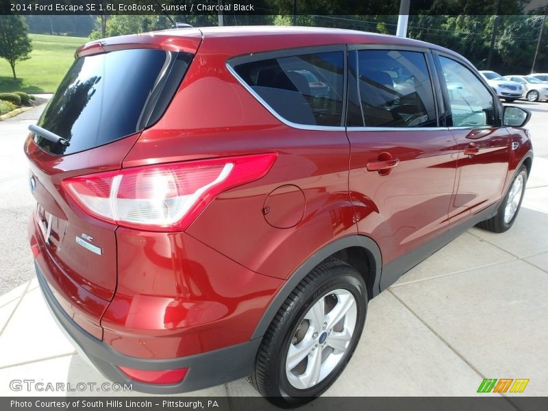 Sunset / Charcoal Black 2014 Ford Escape SE 1.6L EcoBoost