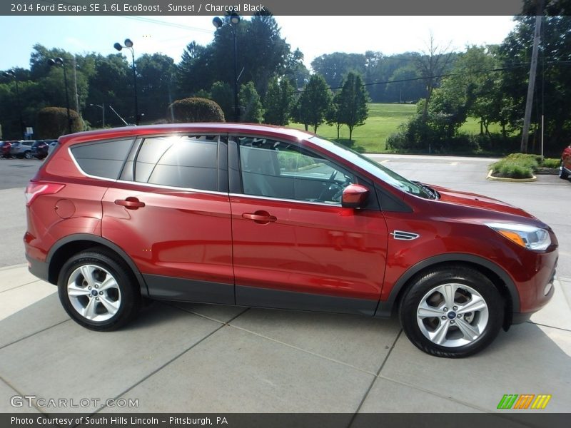 Sunset / Charcoal Black 2014 Ford Escape SE 1.6L EcoBoost