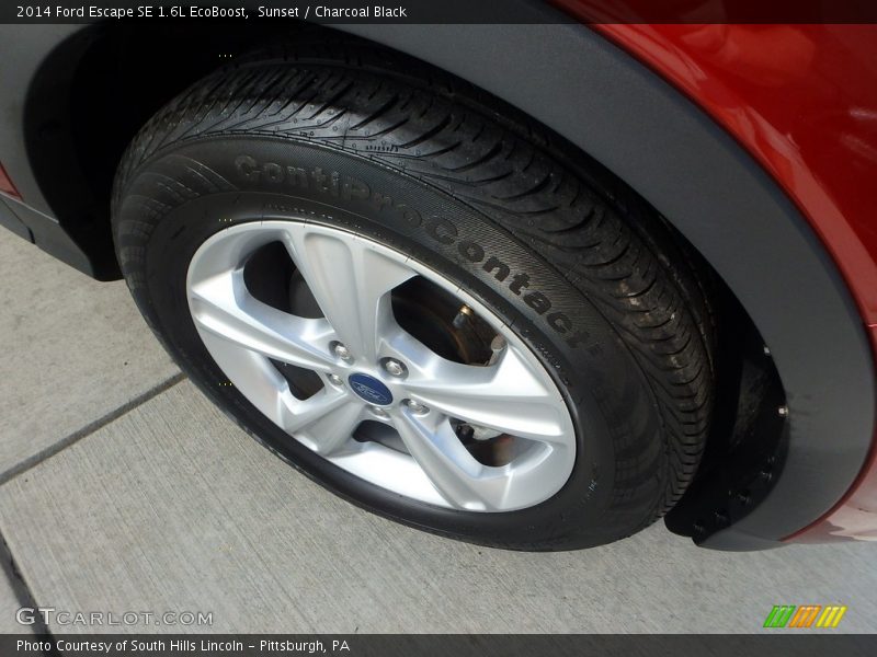 Sunset / Charcoal Black 2014 Ford Escape SE 1.6L EcoBoost