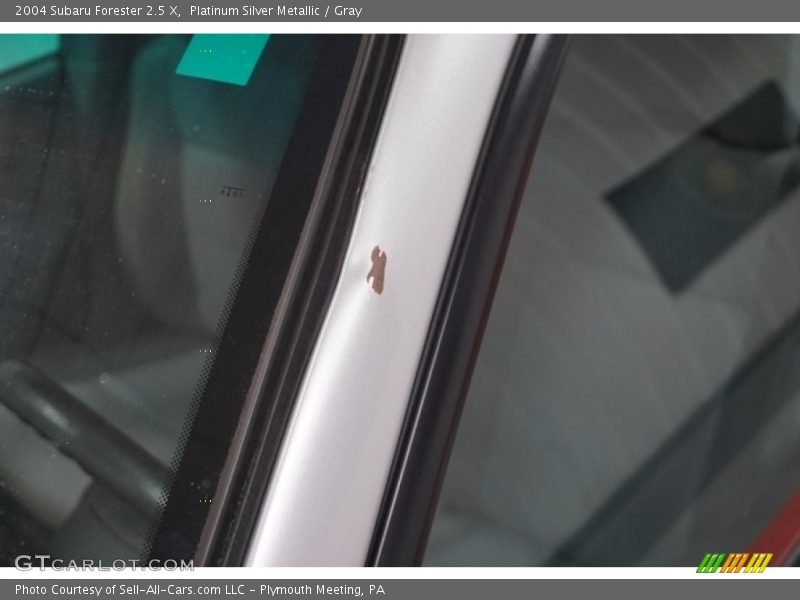 Platinum Silver Metallic / Gray 2004 Subaru Forester 2.5 X