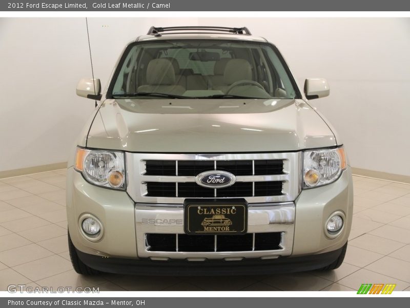 Gold Leaf Metallic / Camel 2012 Ford Escape Limited