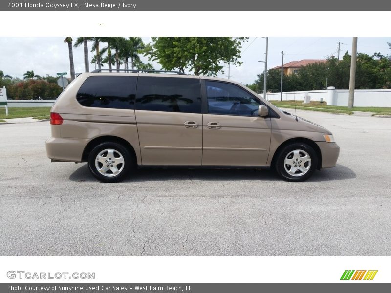 Mesa Beige / Ivory 2001 Honda Odyssey EX