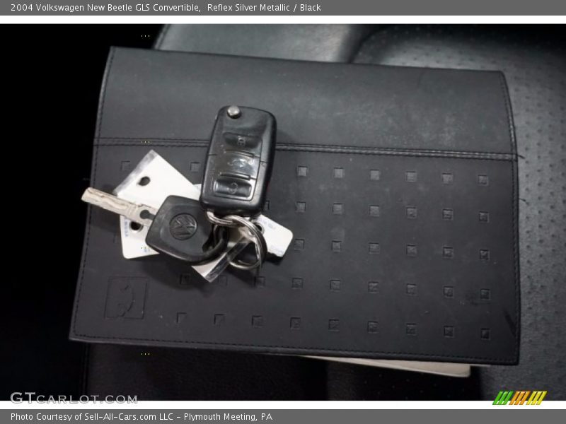 Reflex Silver Metallic / Black 2004 Volkswagen New Beetle GLS Convertible
