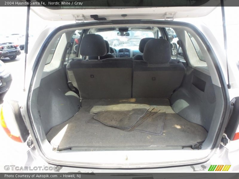 Nordic White / Gray 2004 Hyundai Santa Fe