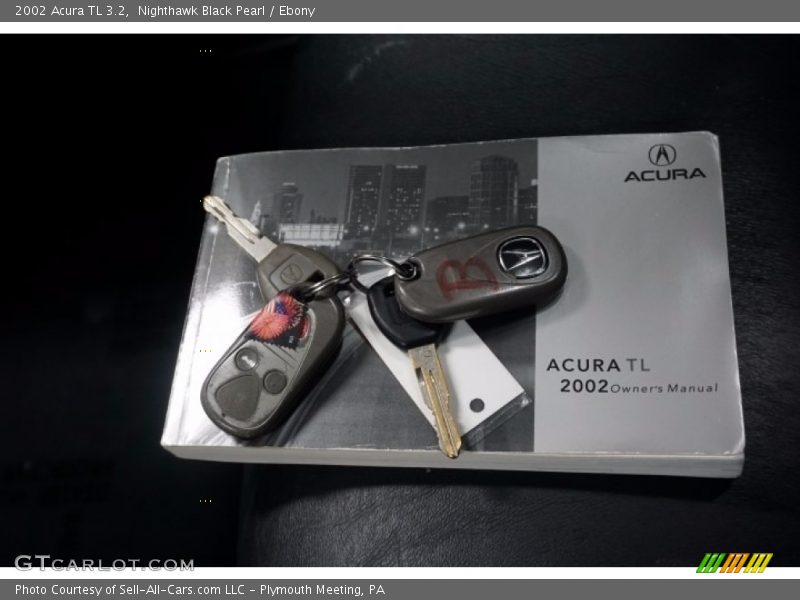 Nighthawk Black Pearl / Ebony 2002 Acura TL 3.2