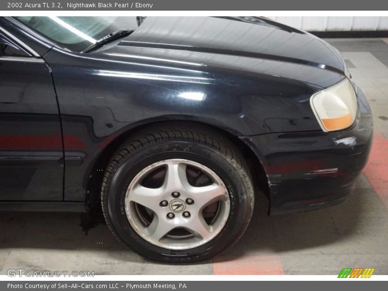 Nighthawk Black Pearl / Ebony 2002 Acura TL 3.2