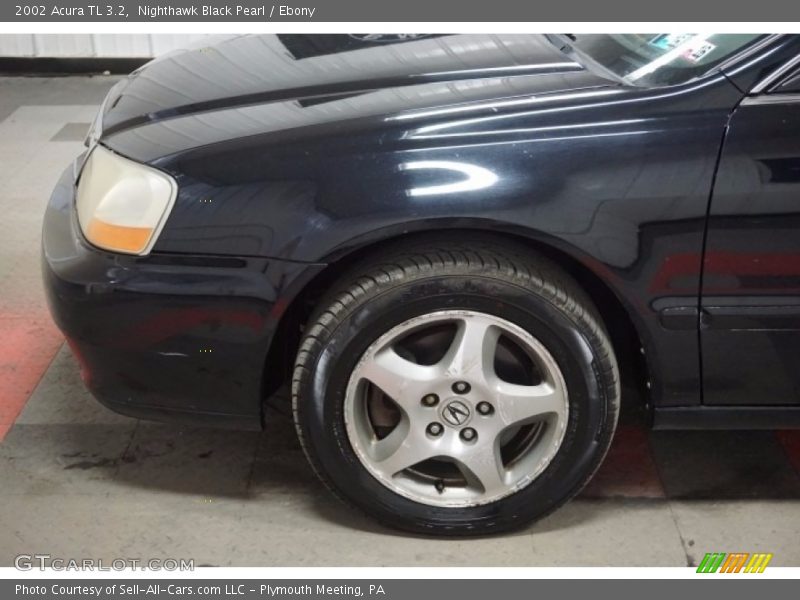 Nighthawk Black Pearl / Ebony 2002 Acura TL 3.2