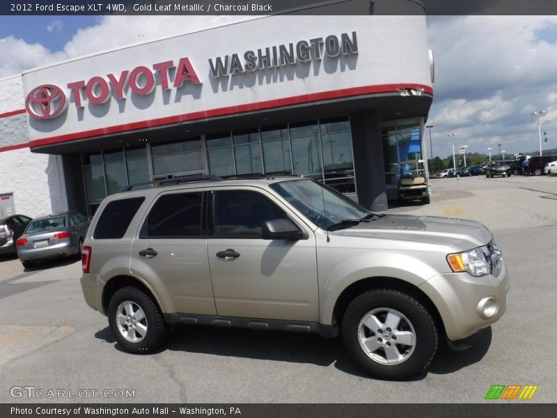 Gold Leaf Metallic / Charcoal Black 2012 Ford Escape XLT 4WD