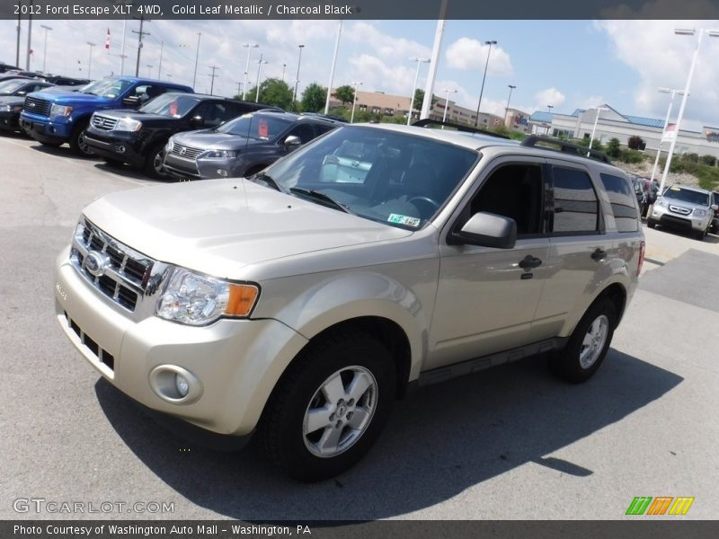 Gold Leaf Metallic / Charcoal Black 2012 Ford Escape XLT 4WD