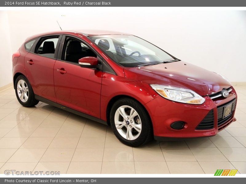 Ruby Red / Charcoal Black 2014 Ford Focus SE Hatchback
