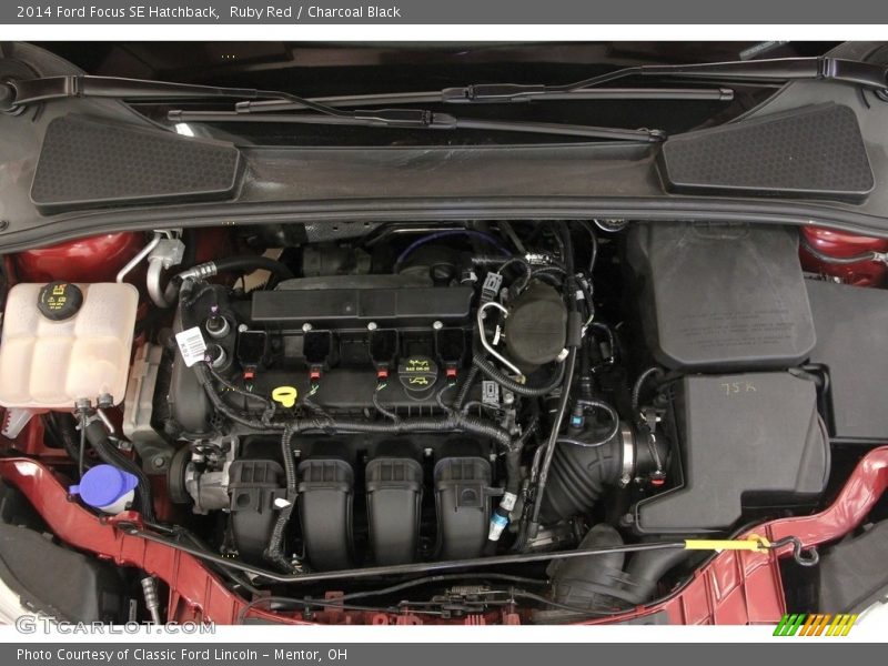 Ruby Red / Charcoal Black 2014 Ford Focus SE Hatchback