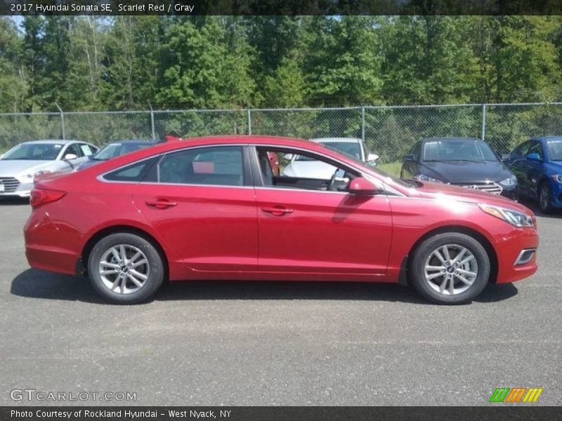 Scarlet Red / Gray 2017 Hyundai Sonata SE