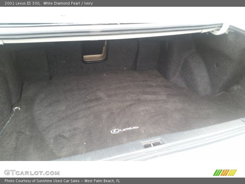 White Diamond Pearl / Ivory 2001 Lexus ES 300