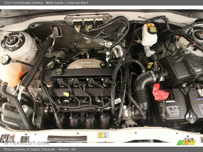 White Suede / Charcoal Black 2010 Ford Escape Limited