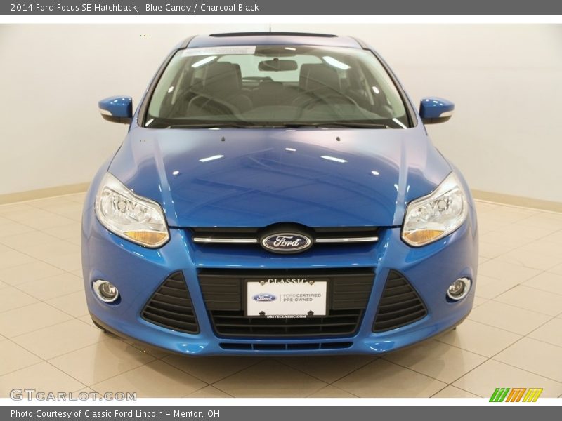 Blue Candy / Charcoal Black 2014 Ford Focus SE Hatchback