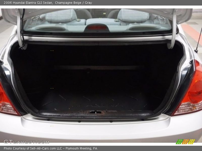 Champagne Beige / Gray 2006 Hyundai Elantra GLS Sedan