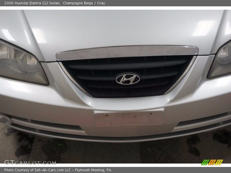 Champagne Beige / Gray 2006 Hyundai Elantra GLS Sedan