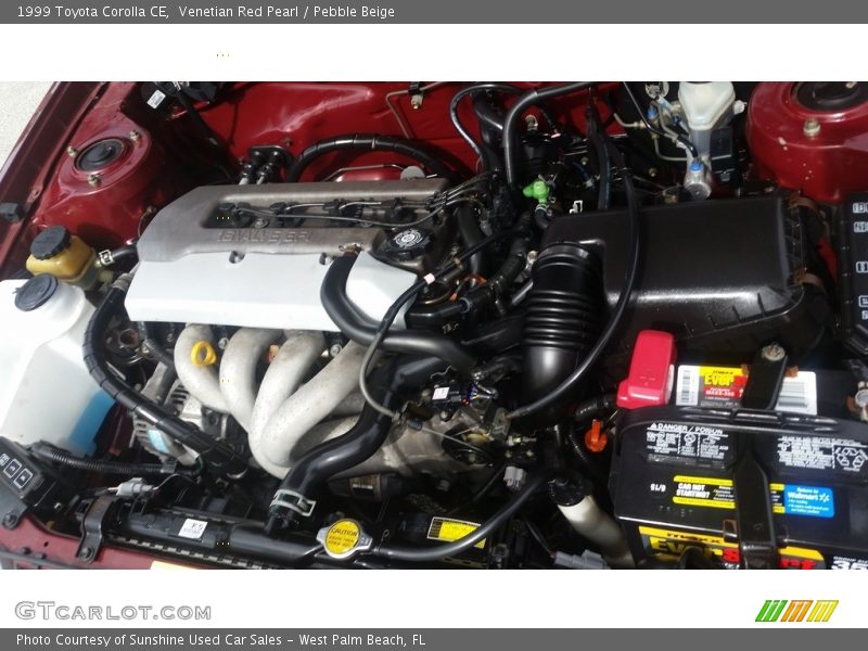 Venetian Red Pearl / Pebble Beige 1999 Toyota Corolla CE