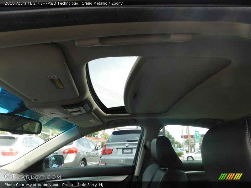 Grigio Metallic / Ebony 2010 Acura TL 3.7 SH-AWD Technology