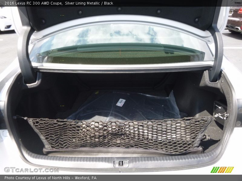  2016 RC 300 AWD Coupe Trunk