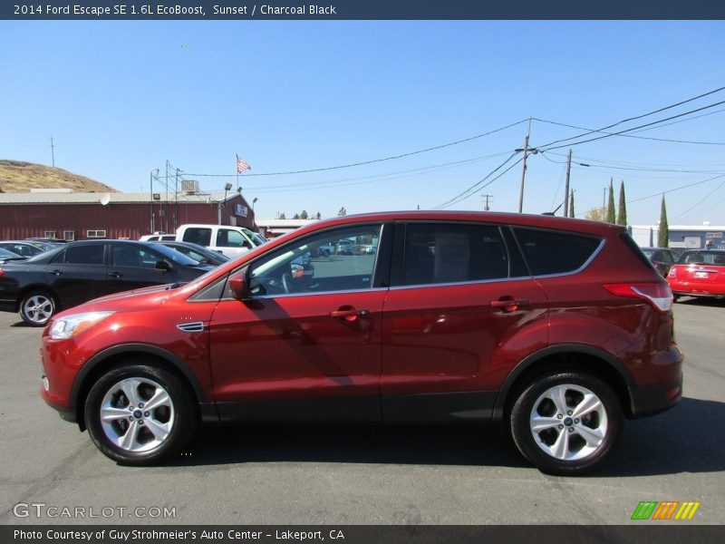 Sunset / Charcoal Black 2014 Ford Escape SE 1.6L EcoBoost
