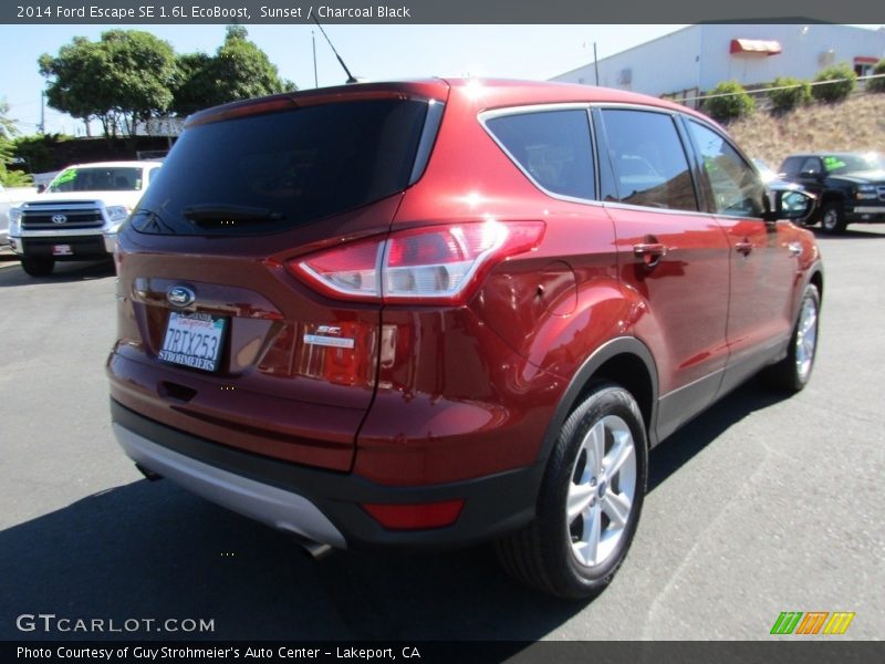 Sunset / Charcoal Black 2014 Ford Escape SE 1.6L EcoBoost