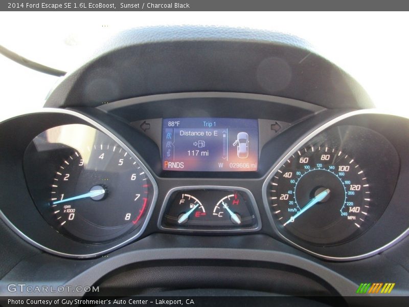 Sunset / Charcoal Black 2014 Ford Escape SE 1.6L EcoBoost