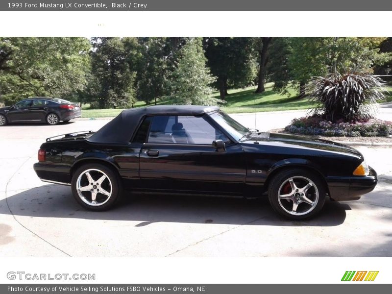 Black / Grey 1993 Ford Mustang LX Convertible