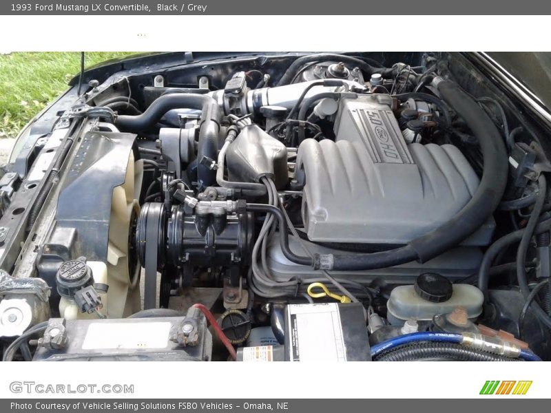 Black / Grey 1993 Ford Mustang LX Convertible