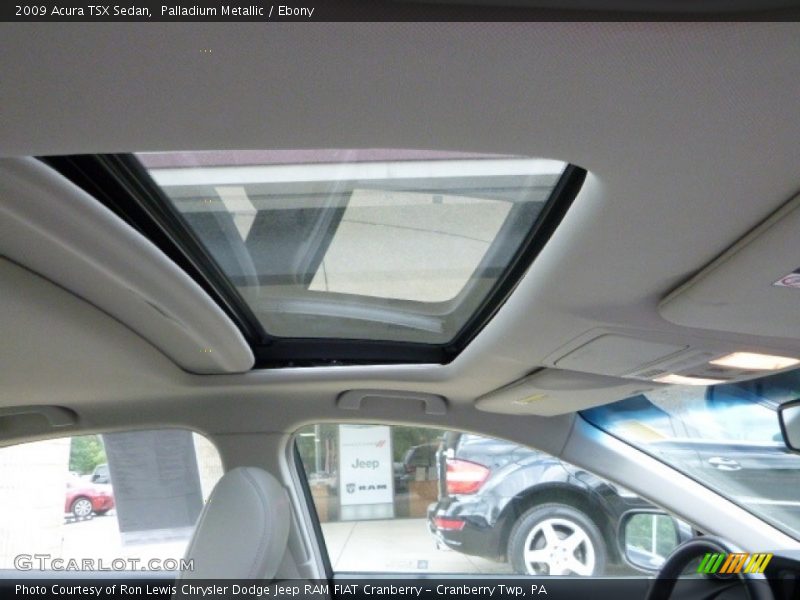 Palladium Metallic / Ebony 2009 Acura TSX Sedan