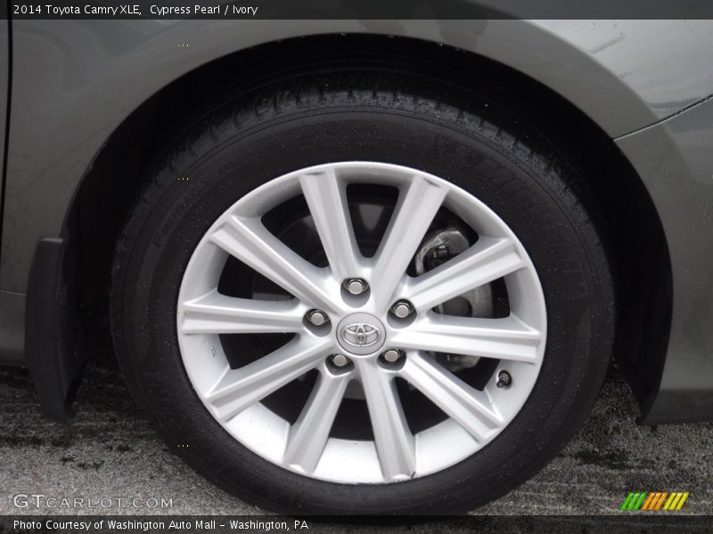 Cypress Pearl / Ivory 2014 Toyota Camry XLE