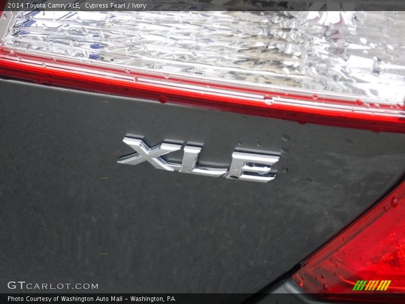 Cypress Pearl / Ivory 2014 Toyota Camry XLE