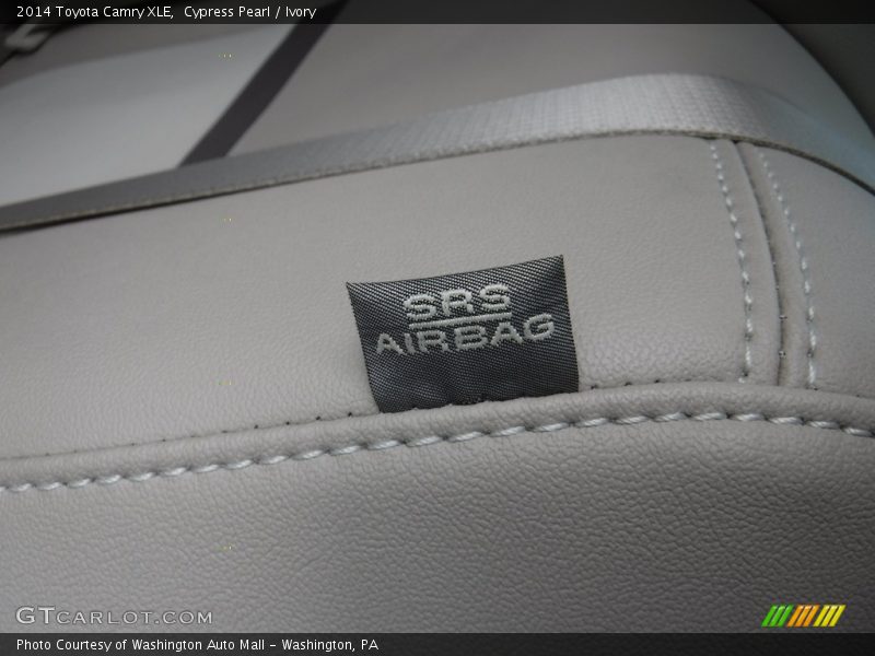 Cypress Pearl / Ivory 2014 Toyota Camry XLE