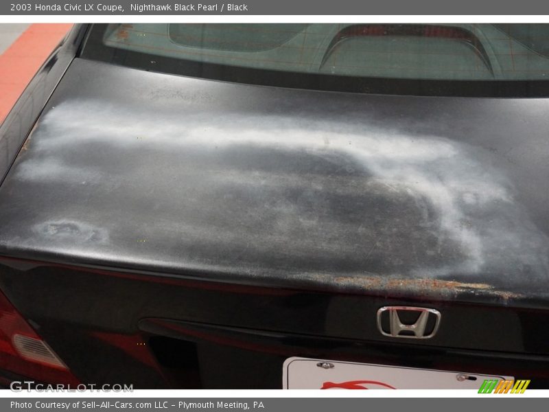 Nighthawk Black Pearl / Black 2003 Honda Civic LX Coupe