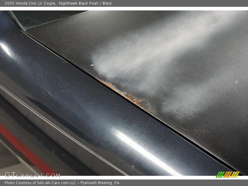 Nighthawk Black Pearl / Black 2003 Honda Civic LX Coupe